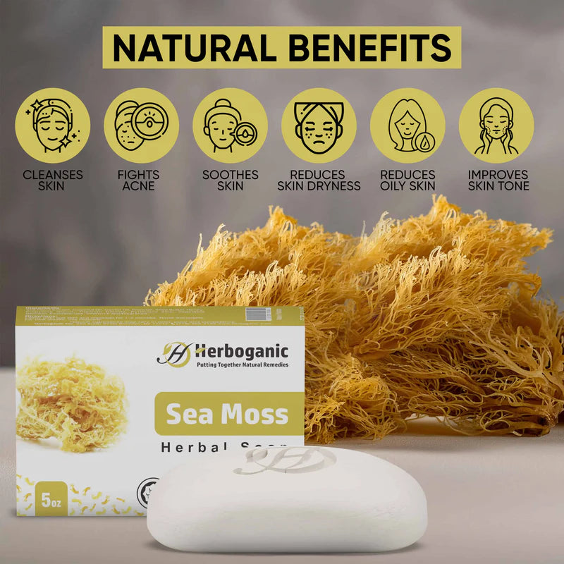 Sea Moss Herbal Soap