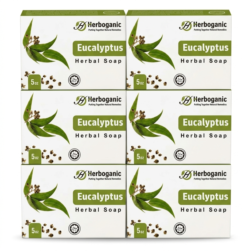 Eucalyptus Herbal Soap - Pack of 6