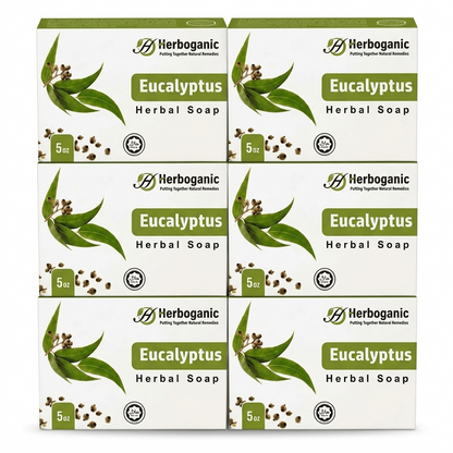 Eucalyptus Herbal Soap - Pack of 6