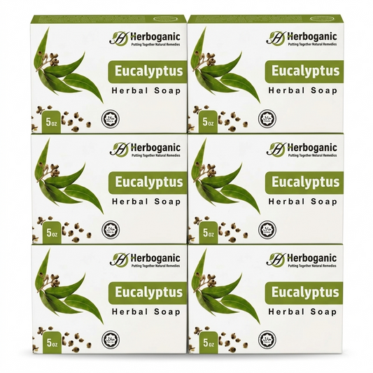 Eucalyptus Herbal Soap - Pack of 6
