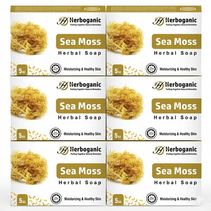 Sea Moss Herbal Soap - Pack of 6