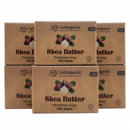 Shea Butter Handmade Soap - Pack of 6